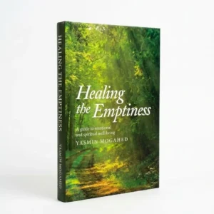 Healing the Emptiness book